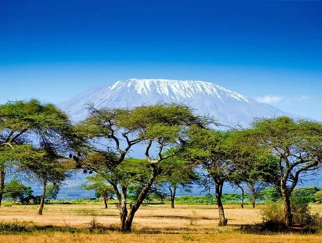 Natural Wonders of Kenya Safari