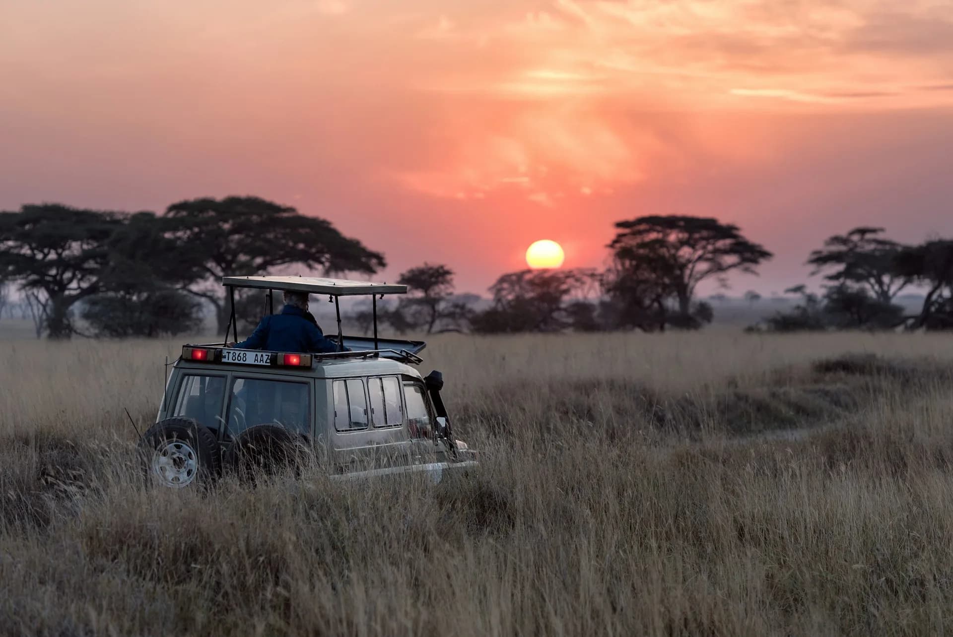 Masai Mara safari landscape at sunrise
